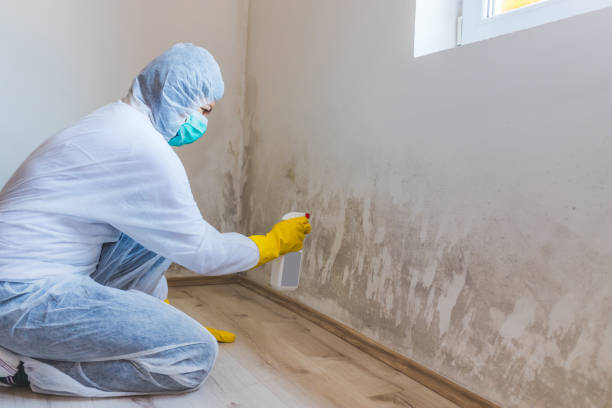 Licensed Crawl Space Mold Removal service in Peapack, NJ - WQB Mold Removal