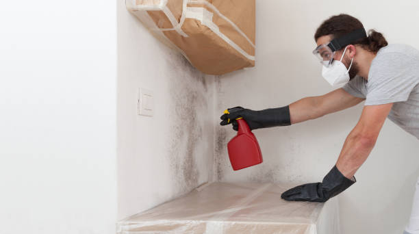 Professional Crawl Space Mold Removal technician working in Peapack, NJ