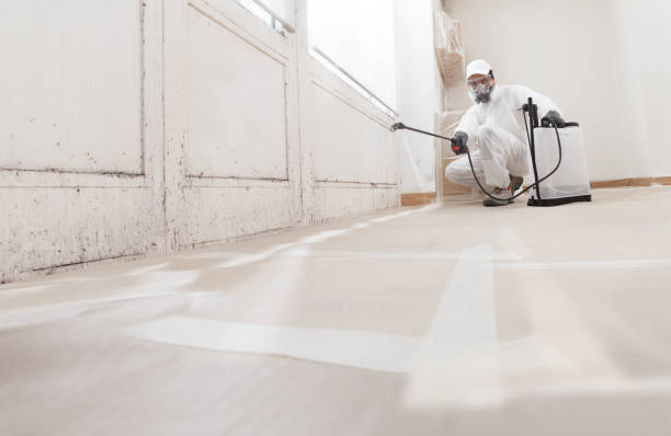 24/7 Emergency Crawl Space Mold Removal experts in Peapack, NJ
