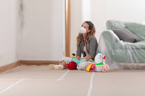 Reliable Crawl Space Mold Removal contractor in Peapack, NJ by WQB Mold Removal