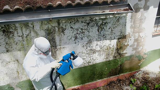 Top rated local Crawl Space Mold Removal specialists in Peapack, NJ